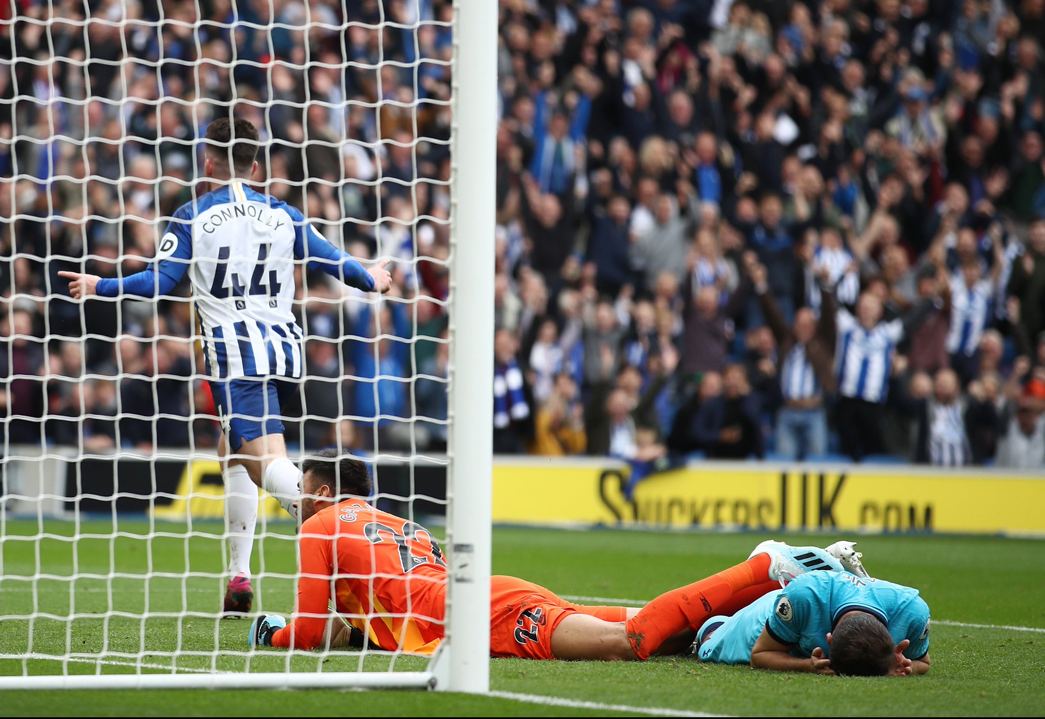 馴的性格和 馴的性格和